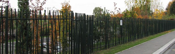 rea